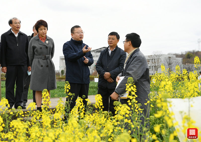 2021年2月26日，元方調(diào)研科技創(chuàng)新工作7  張莉 攝.jpg