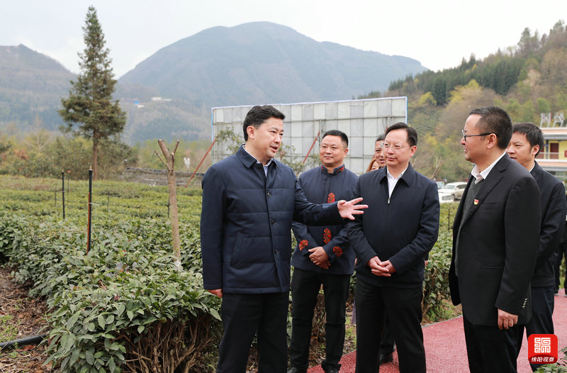 2021年3月6日 羅增斌在蓋頭村現(xiàn)代農(nóng)業(yè)園區(qū)調(diào)研(記者 賴杰 攝).jpg