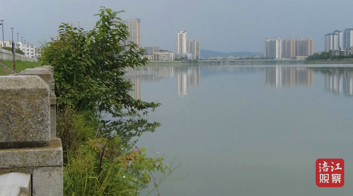 涪寶幫你忙 植物“瘋長”4_1.jpg